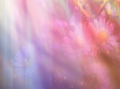 Floral Bloom 09