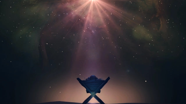 Christ The Savior Manger 03