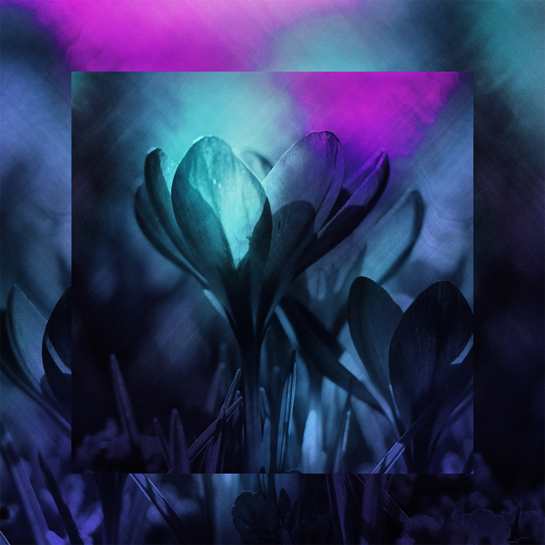 Painted Flowers Social Graphic See You Sunday Blank