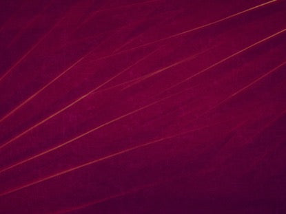 Radiant Palms Motion 4