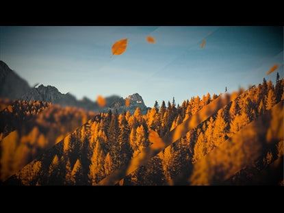 Falling Autumn 4