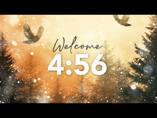 Christmas Forest Countdown