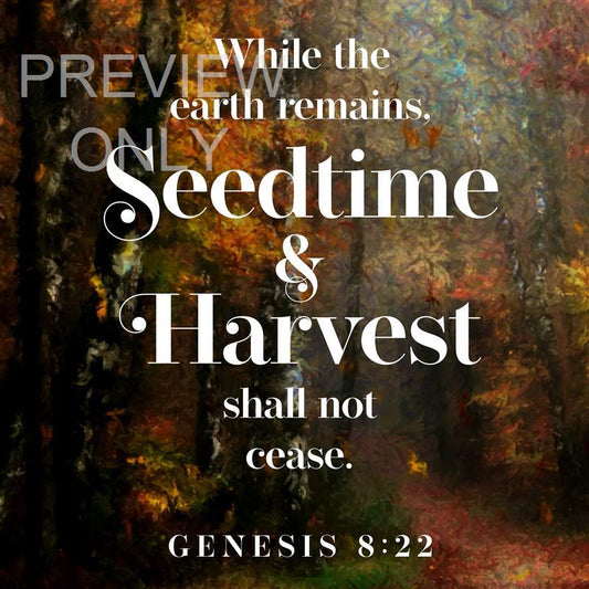Autumn Vibes Social Graphic Scripture