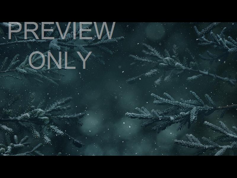 Christmas Wintertide 3 Still