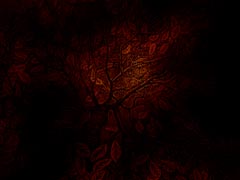 Burning Bush