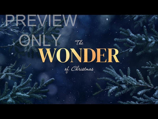 Christmas Wintertide Wonder Still