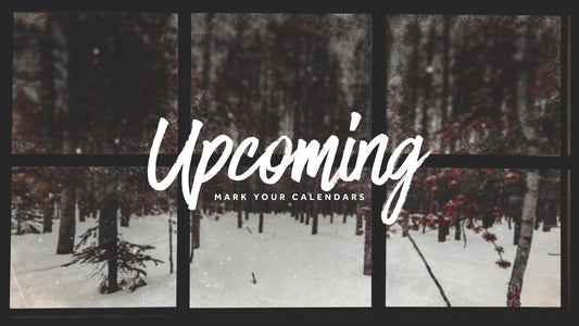 Christmas Windows Upcoming Still