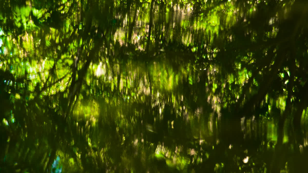 Living Waters 03