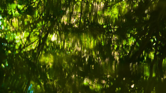 Living Waters 03
