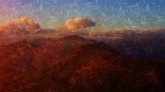 Natures Palette 6 Still