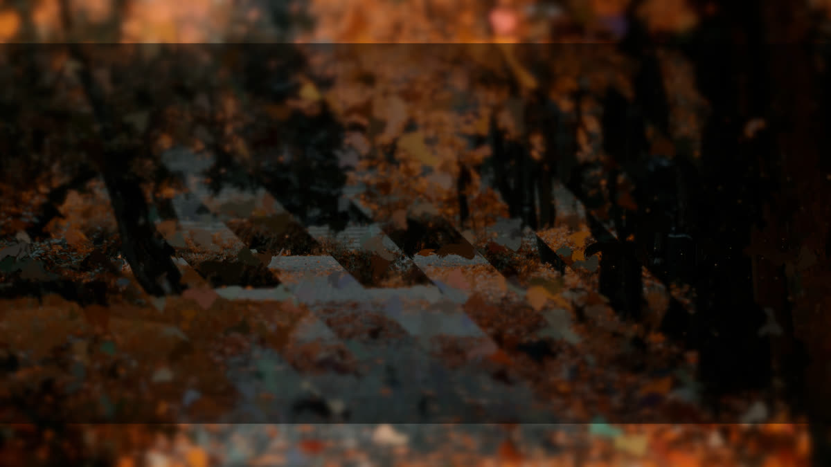 Autumns End 2 Alt