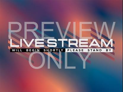 Neon Summer Live Stream Still