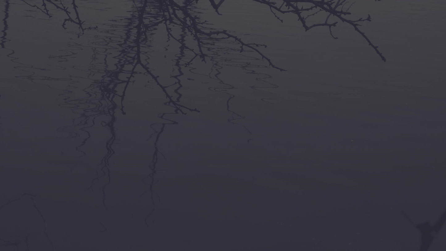 Bleak Beauty Pool Fade Still