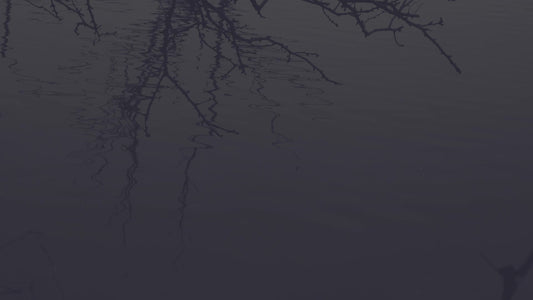 Bleak Beauty Pool Fade