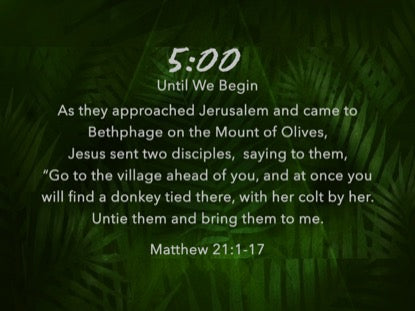 Palm Leaf Scripture Countdown