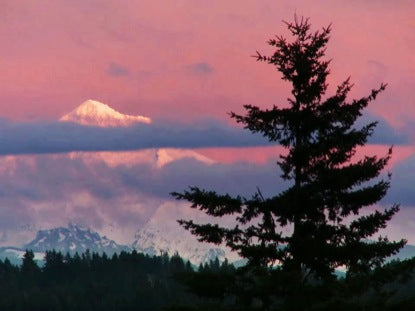 Mt. Hood