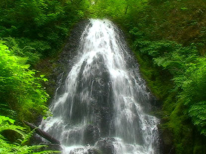 Fairy Falls