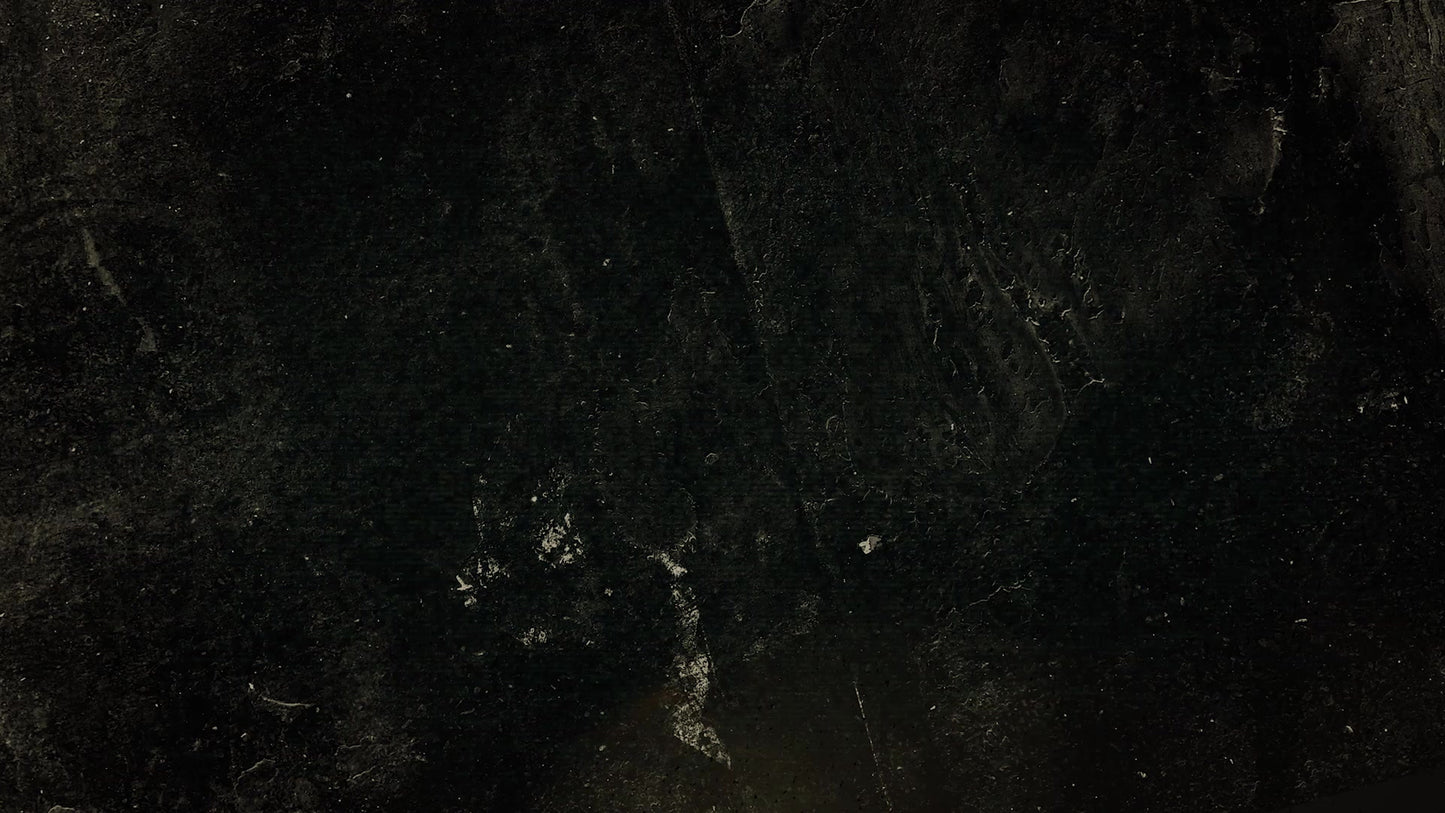 Alpha And Omega Warm Still