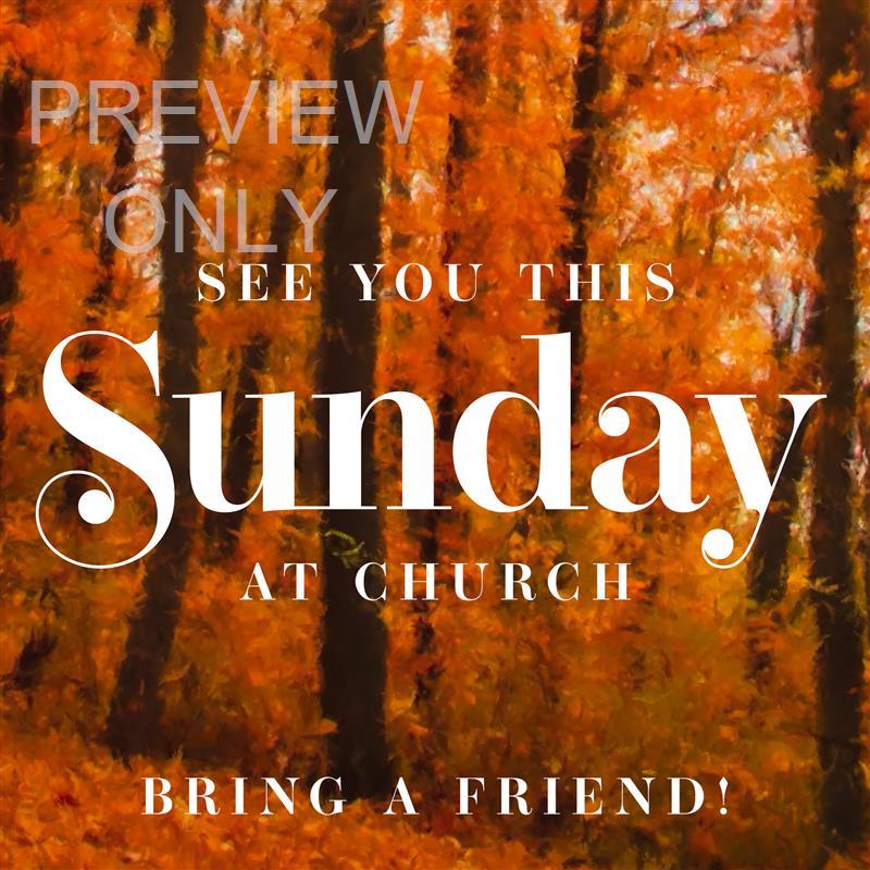 Autumn Vibes Social Graphic Sunday