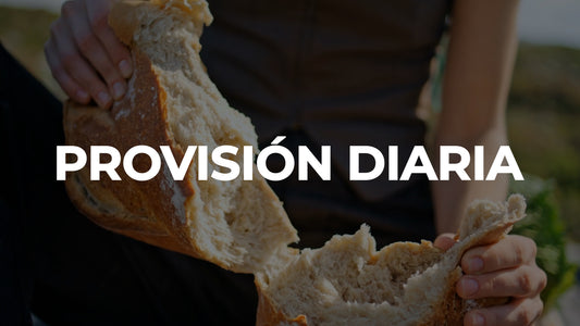 Provision Diaria