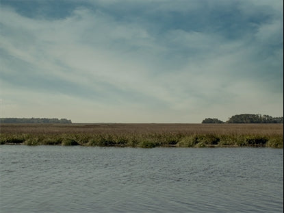 Tidelands 2
