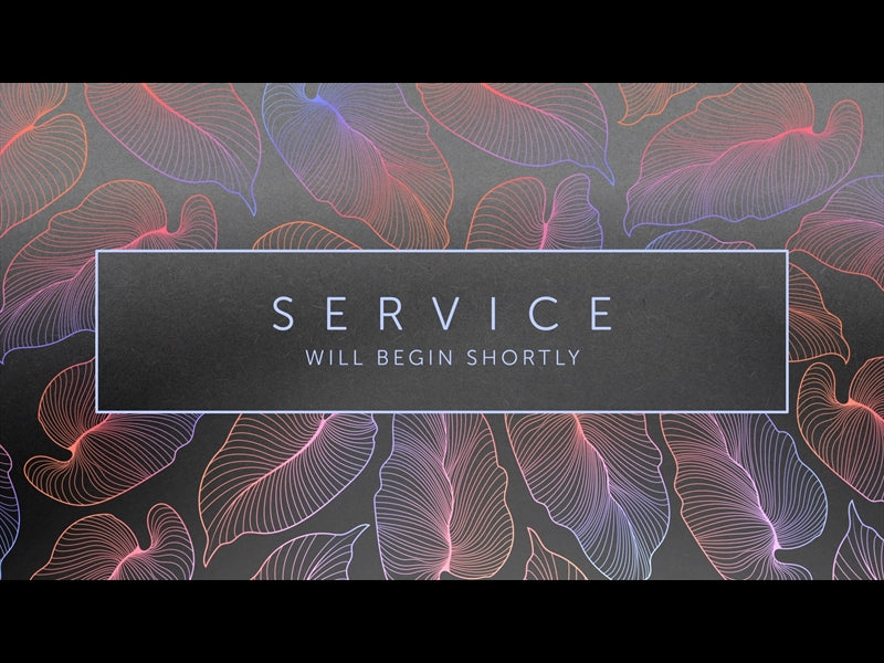 Tropical Night Service