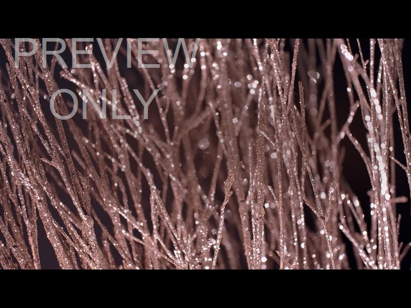 Christmas Gold 16 Still