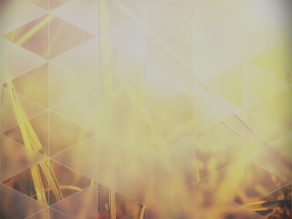 Opaque Triangles Grass