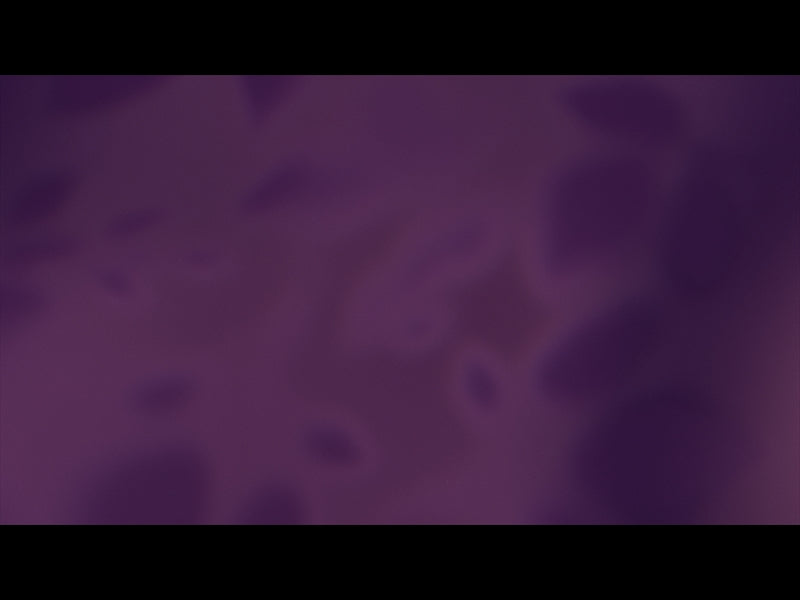 Velvet Fall Loop 03