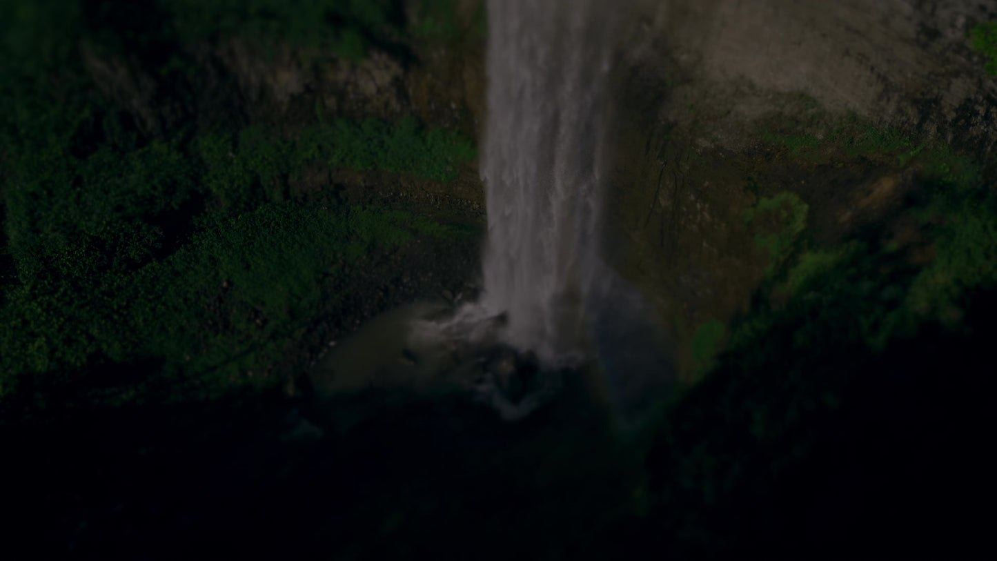 Nature's Force 14 Darken