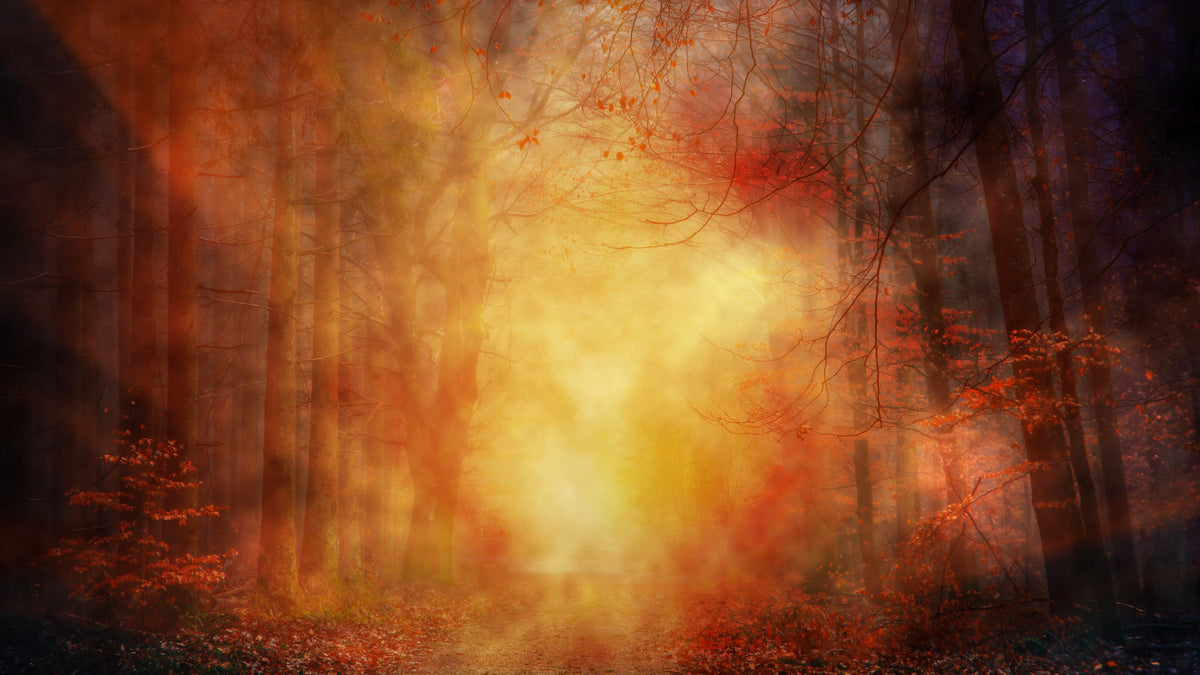 Thanksgiving Light 06