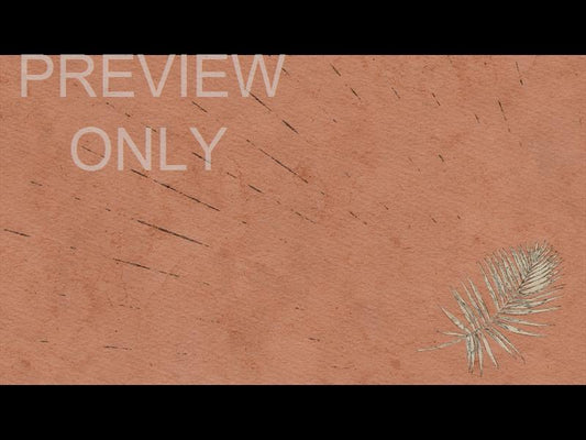 Drawn To Him Still 02