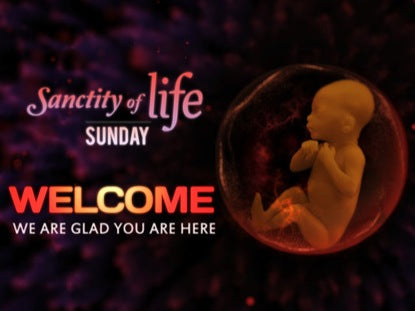 Sanctity Of Life Welcome Loop