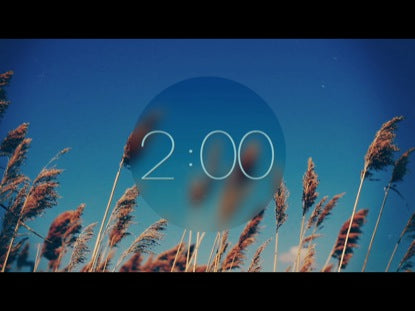 Wheat Countdown