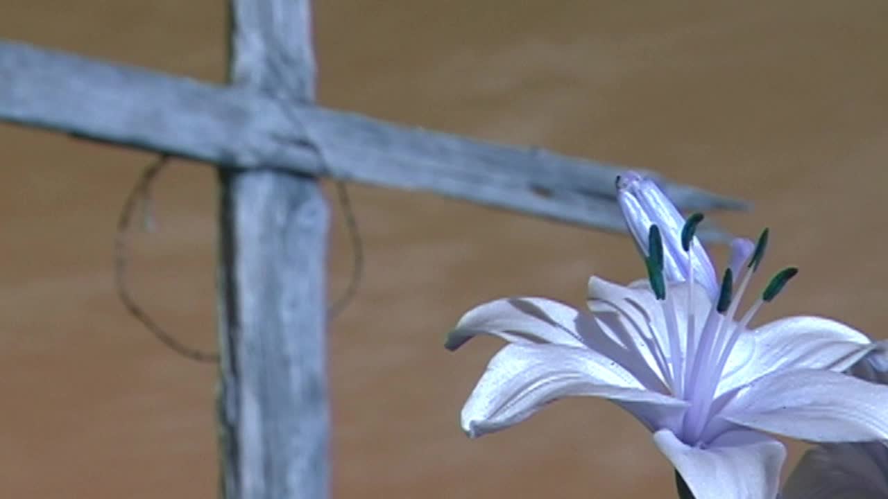 White Flower Cross