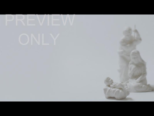 The Prince Of Peace Still 05