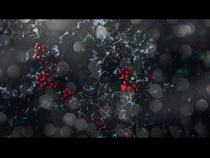Christmas Loop