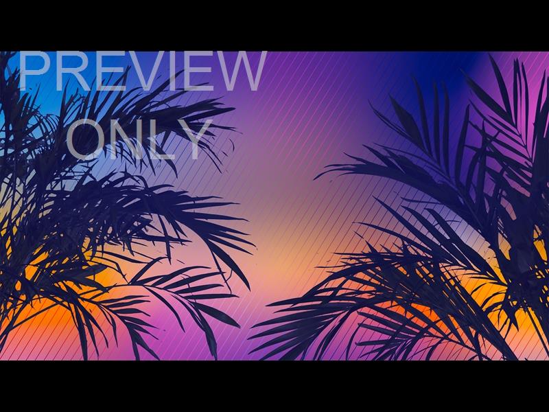 Sun Palms 7 Still