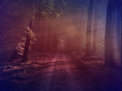 Sojourn 8 Motion