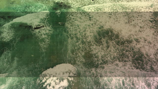 Summer Ocean 4 Alt