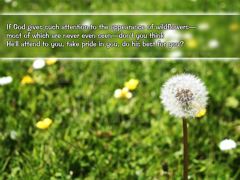 Green Grass