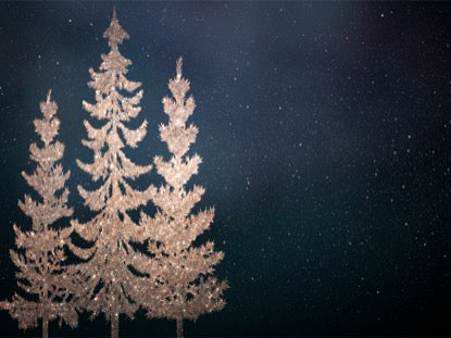 Christmas Sparkle 4