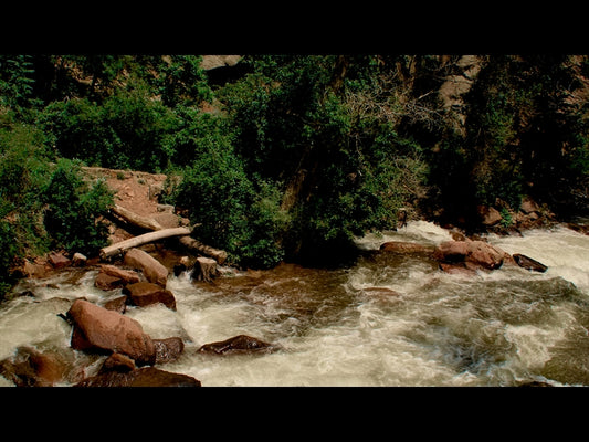 El Dorado Motion 9