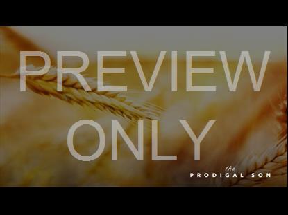 The Prodigal Son Teaching Still2