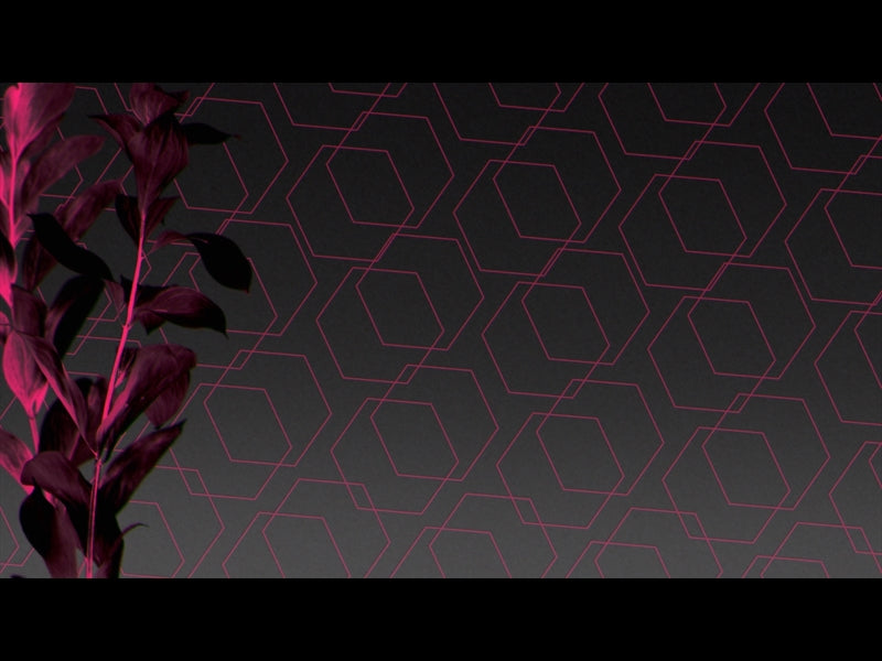 Neon Natro Loop 06