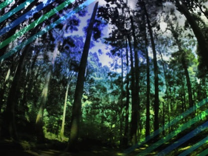 Seven Star Mountain 3