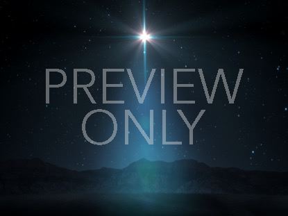 Starlight Nativity 11