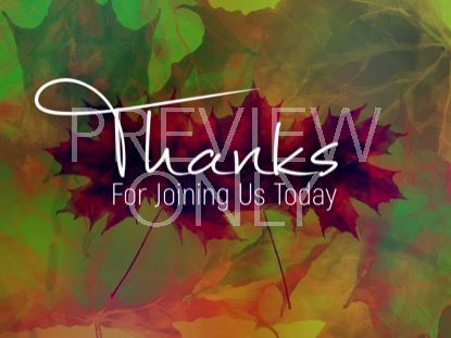 Fall Cider Closing Still