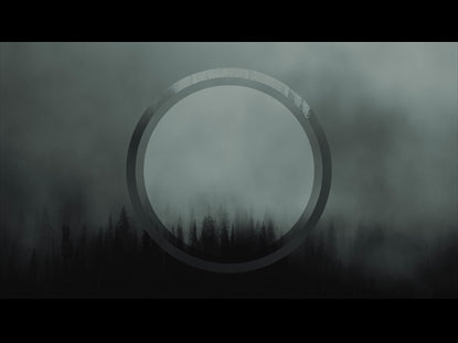 Rolling Fog Forest