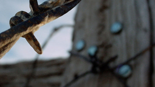 Barbed Wire